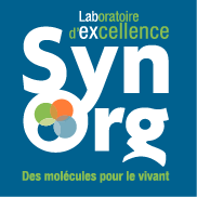 Labex SynOrg